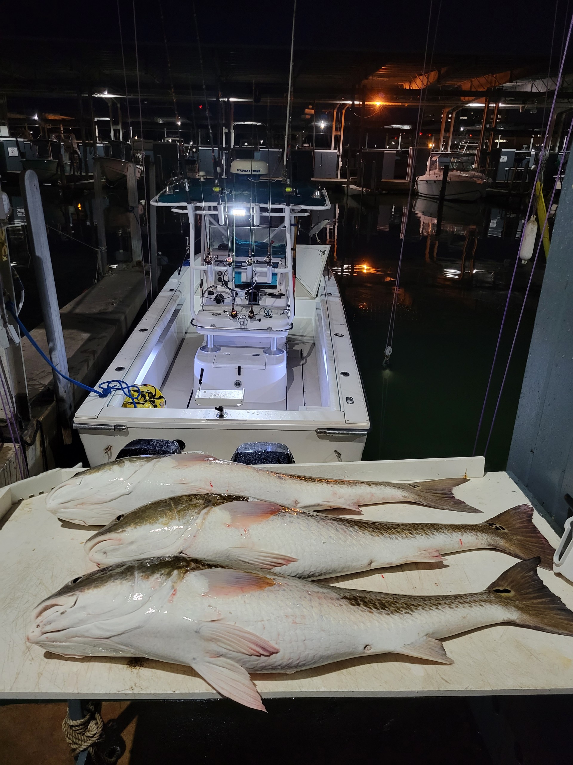 The Big Ol Mess: Clearwater, Miami Beach, Pottsboro & More!