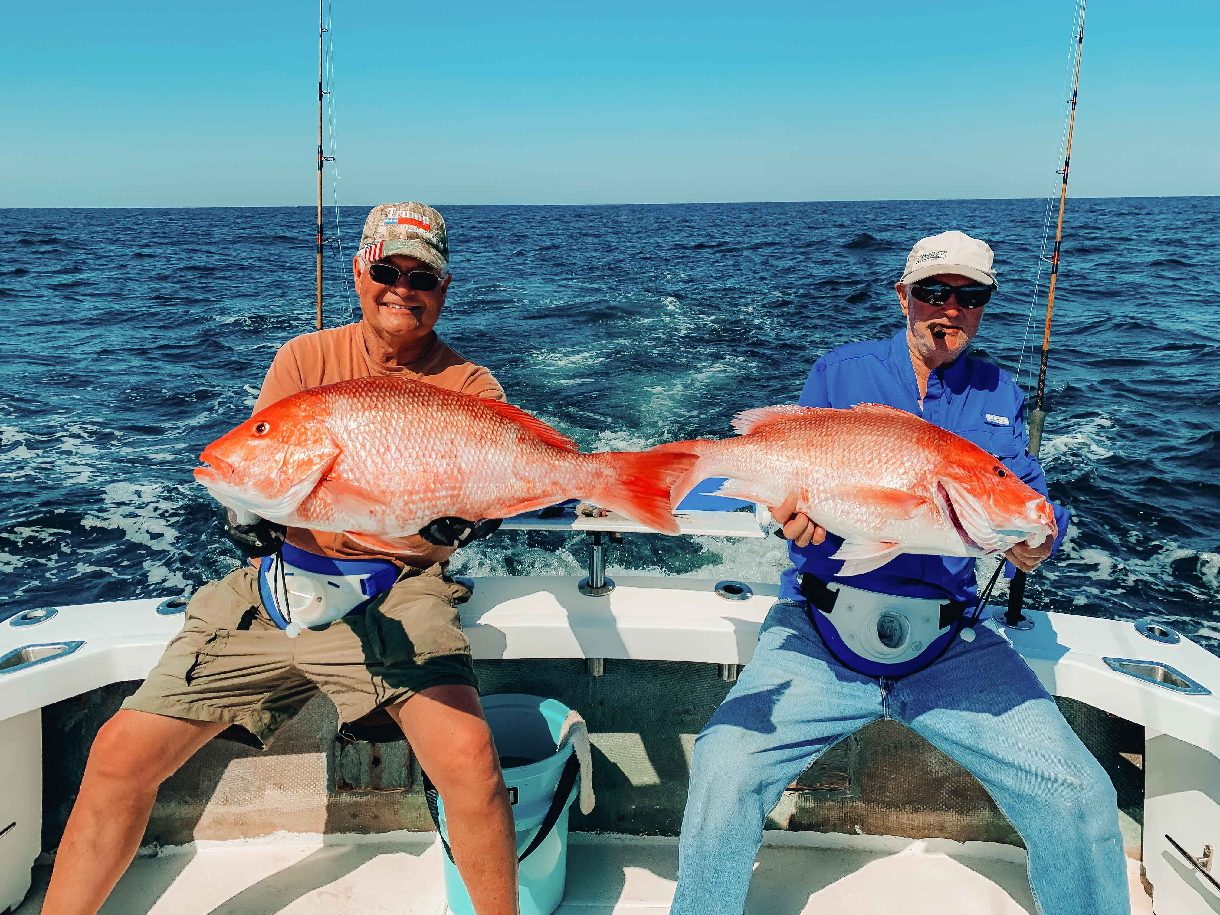 Year Round Snapper Fishing