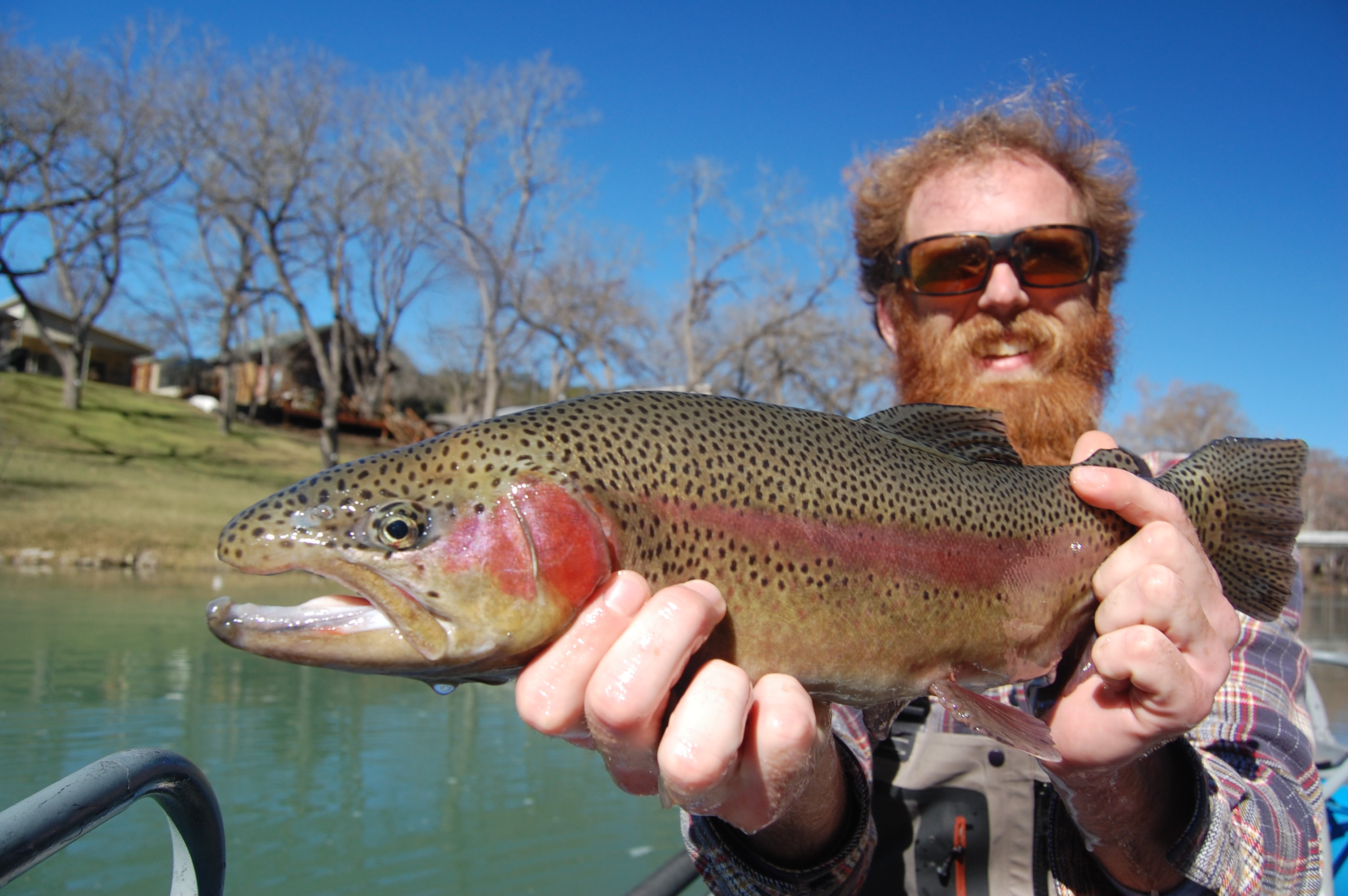 Litton's Fishing Lines: North Branch Raritan River Nice Rainbow Trout and  Using Salmon Eggs