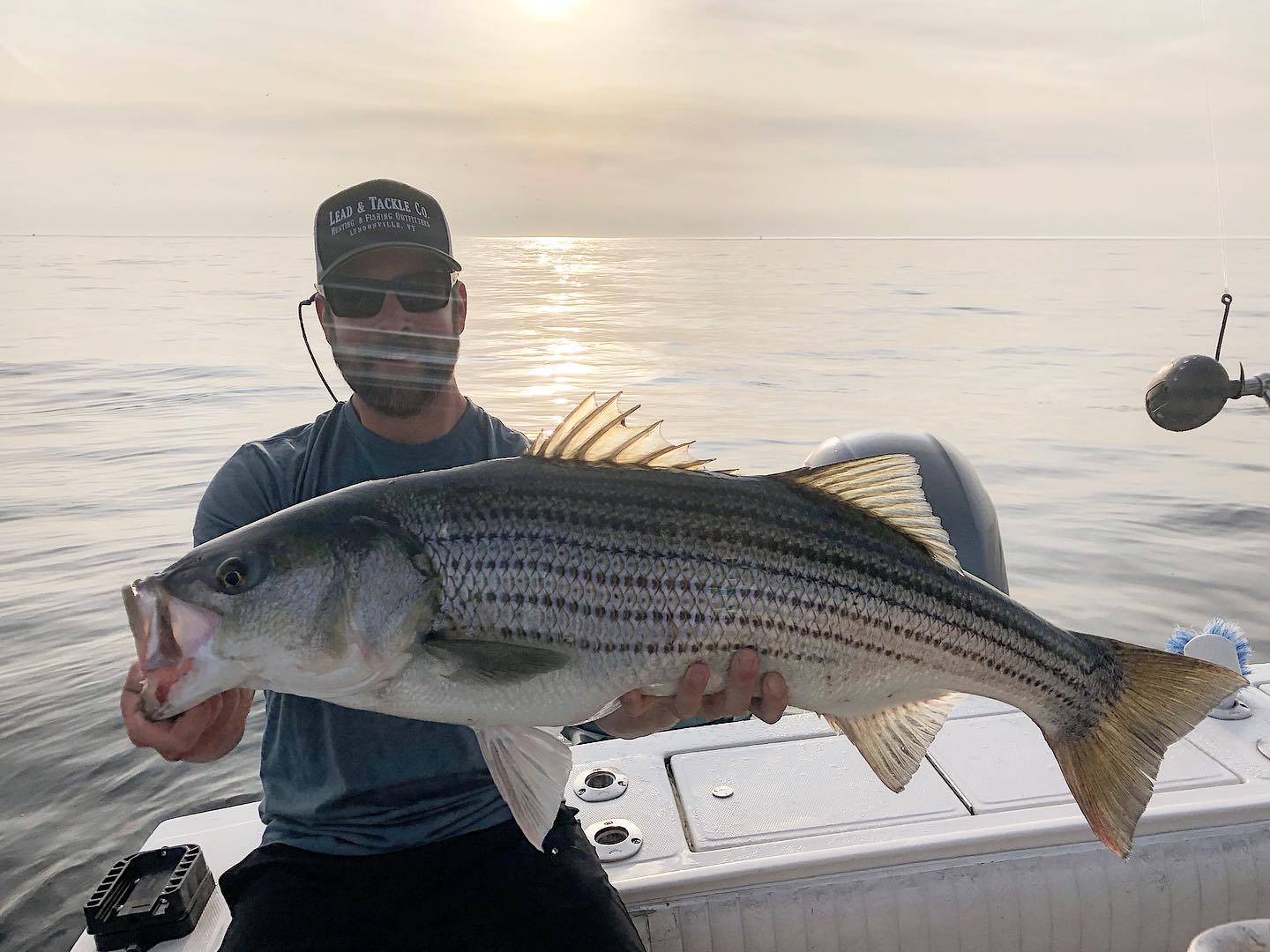 Captain Experiences Live Fl Peacocks, Cape Cod, And Fly Fishing Co