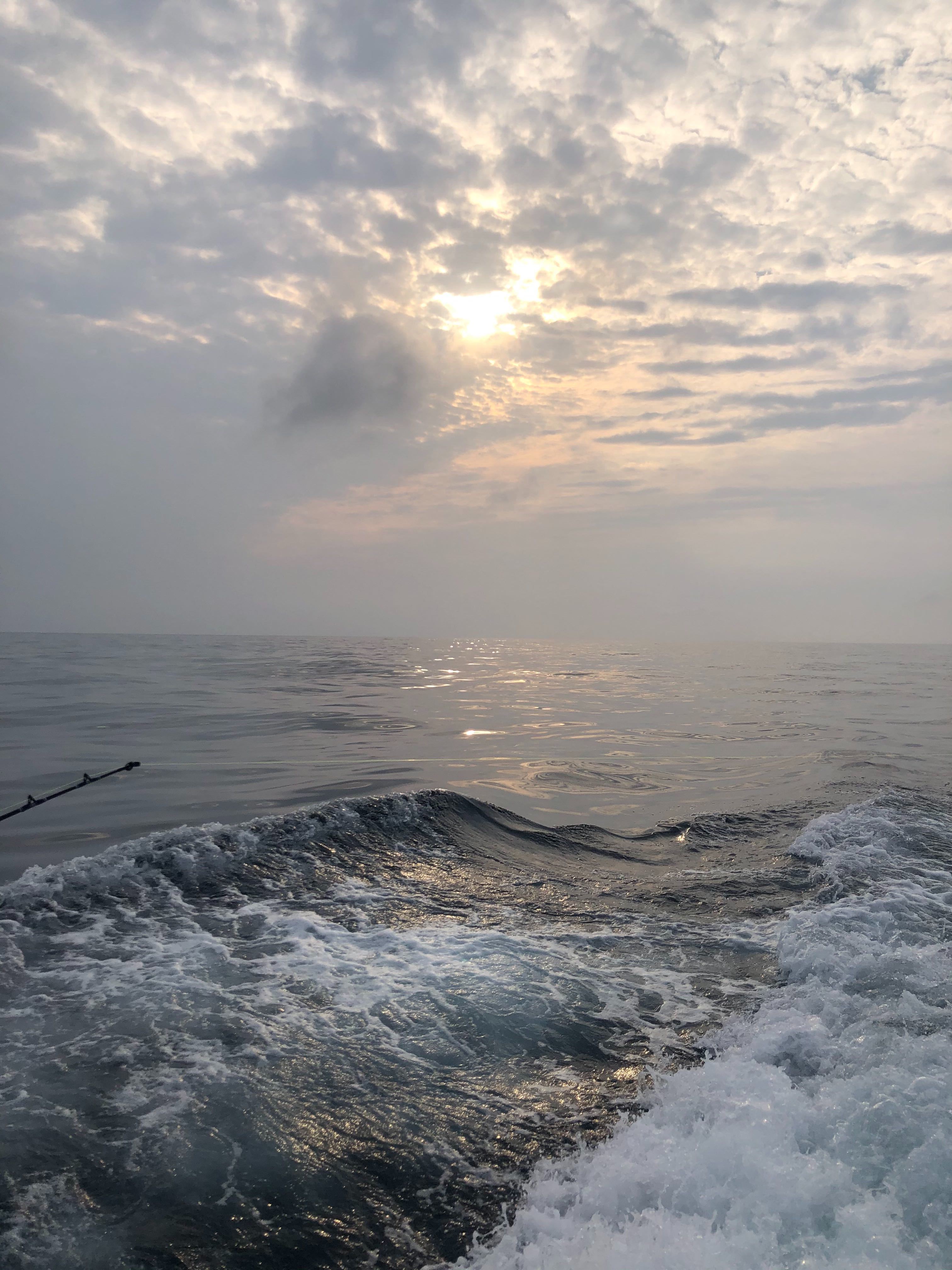 Galveston Tuna Fishing Charters Yellowfin Tuna Fishing Trip Recap