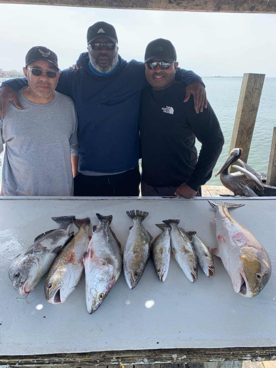 The Big Ol Mess 1 Fishing Report For Galveston, South Padre Island