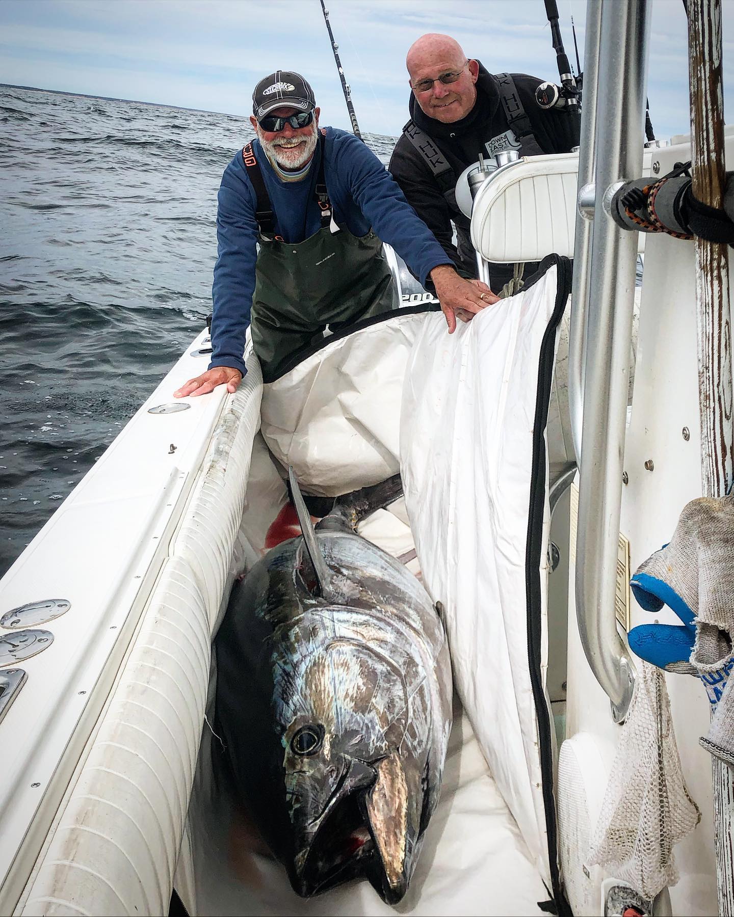 A Fisherman's Guide to Tuna Fishing