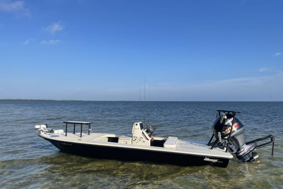 Dolphin Watching Tours Charters - WQ9zGjIj7by74g7SOnzO0jTH9LsmFfUrC8FA9Y9H