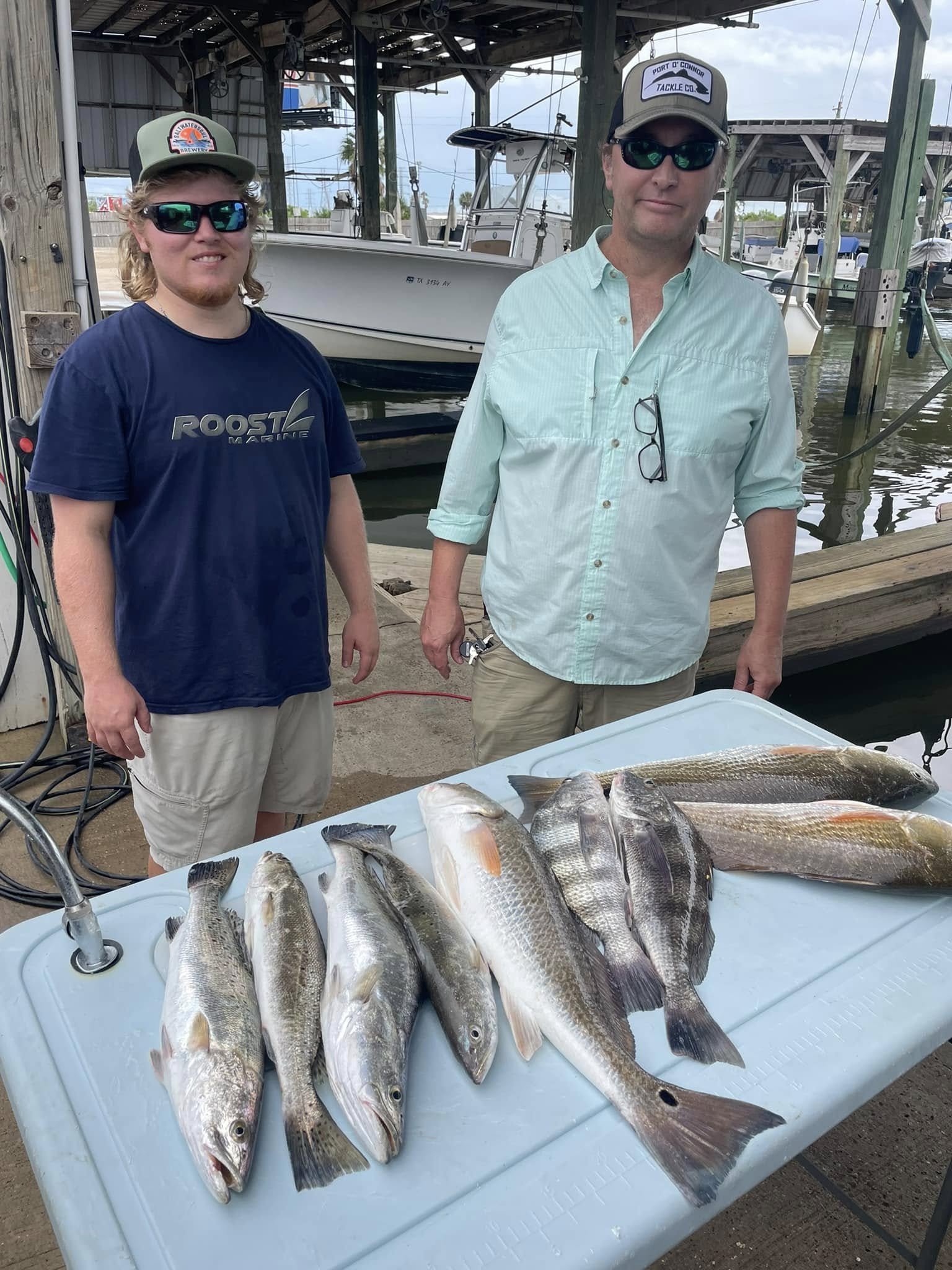 Half Day on the Bay