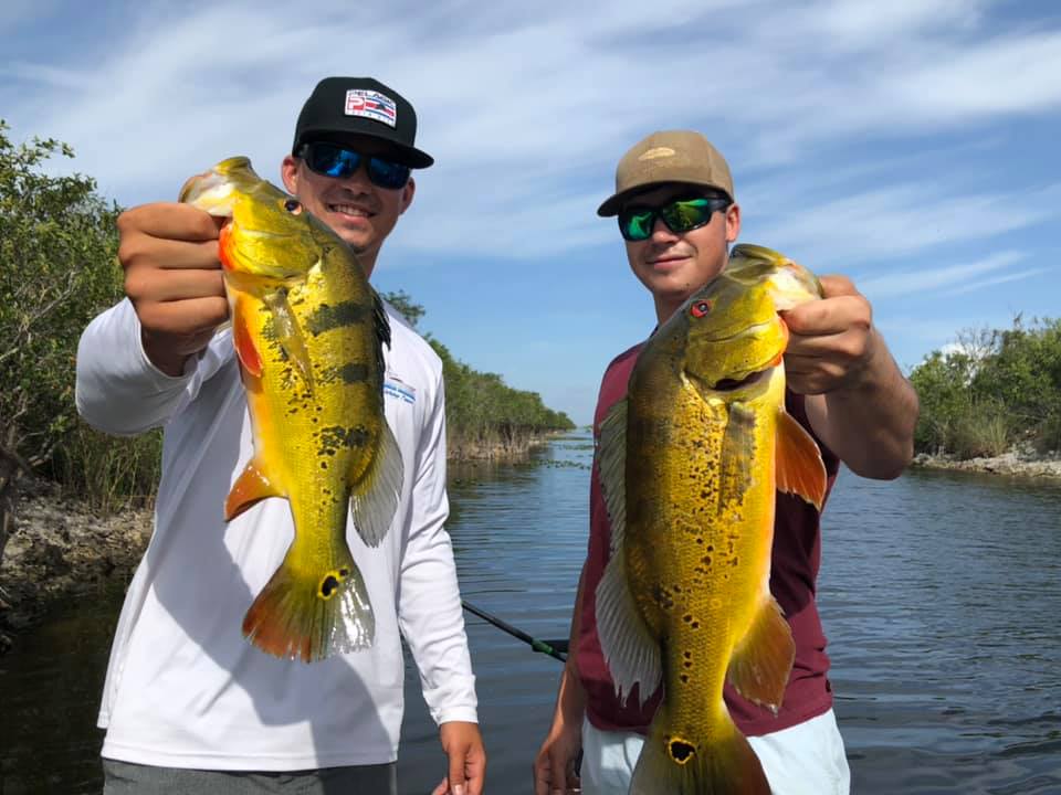 The 15 Best Peacock Bass Fishing Guides in Florida