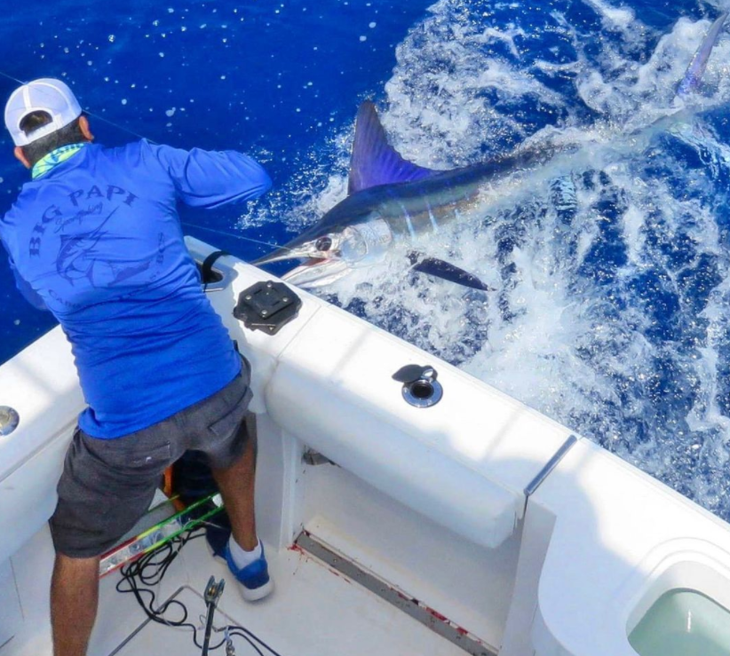 Deep Sea Cabo - 48' Riviera