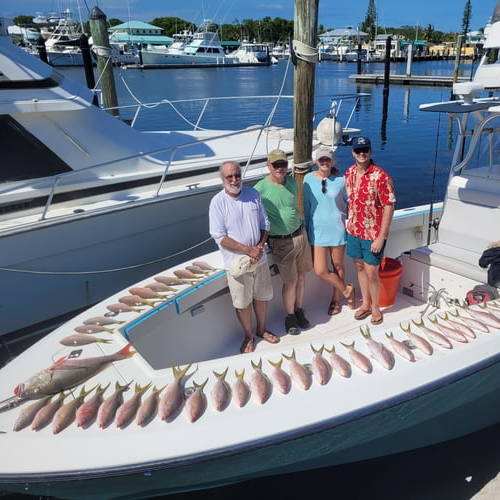 The 6 Best Mahi Mahi Fishing Charters in Straits of Florida