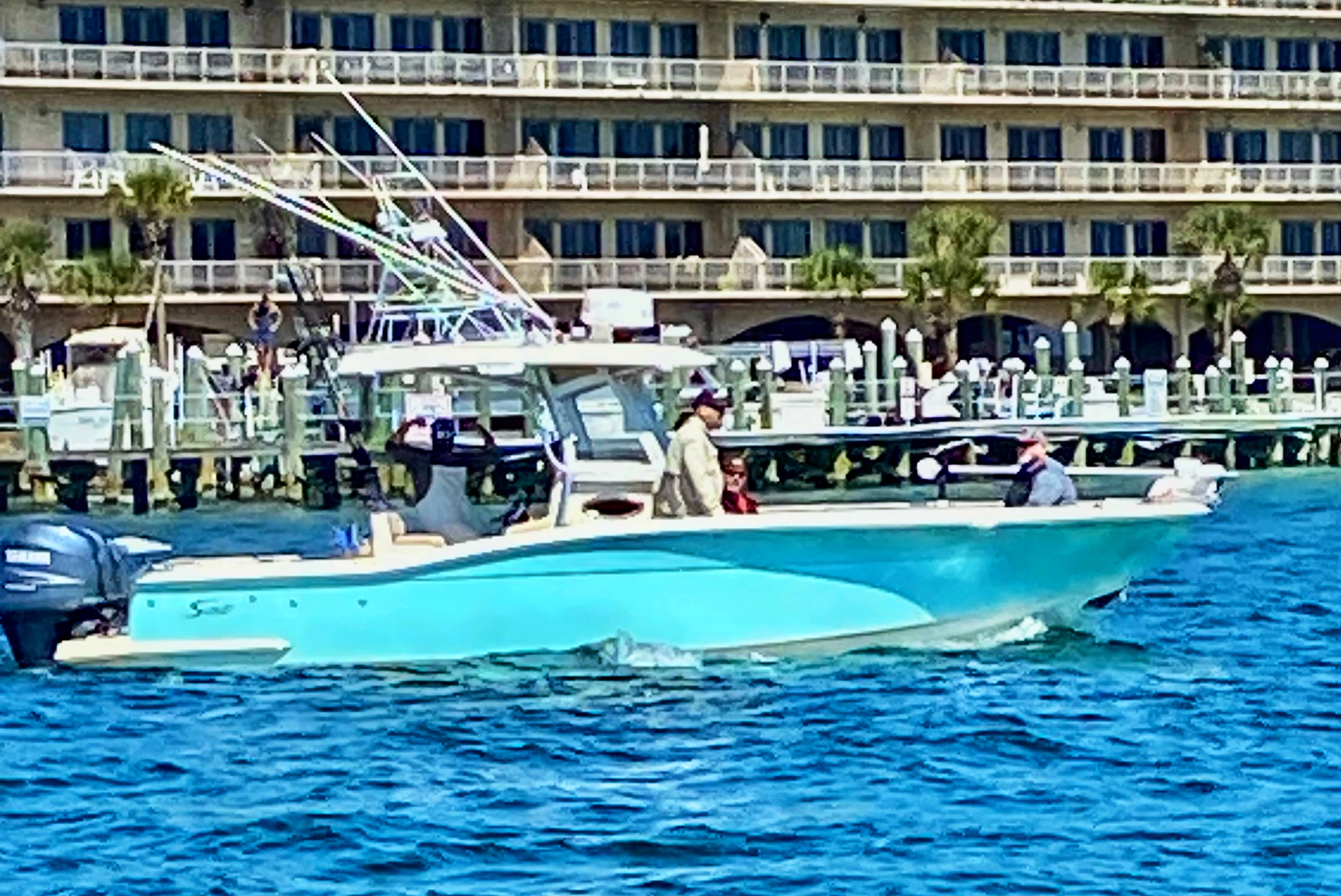 Galveston Fish Species Common Types Of Fish In Galveston To Catch