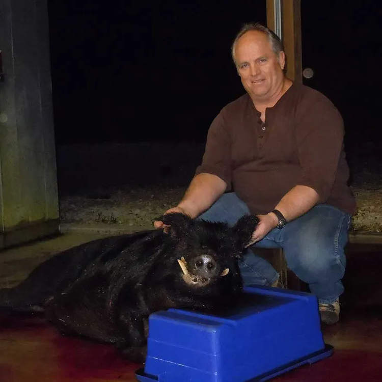 The 15 Best Thermal Hunting Guides