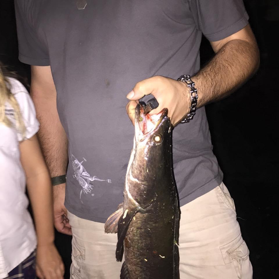 Bluegill Fishing Guides in Everglades