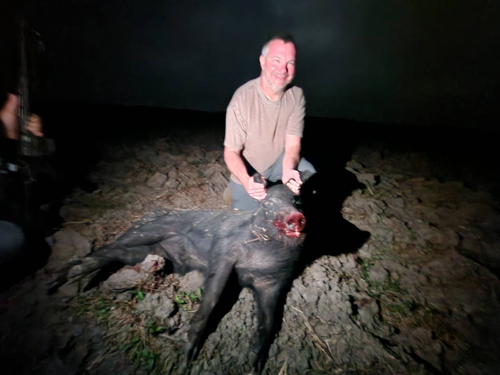 States With The Biggest Wild Hog Problem