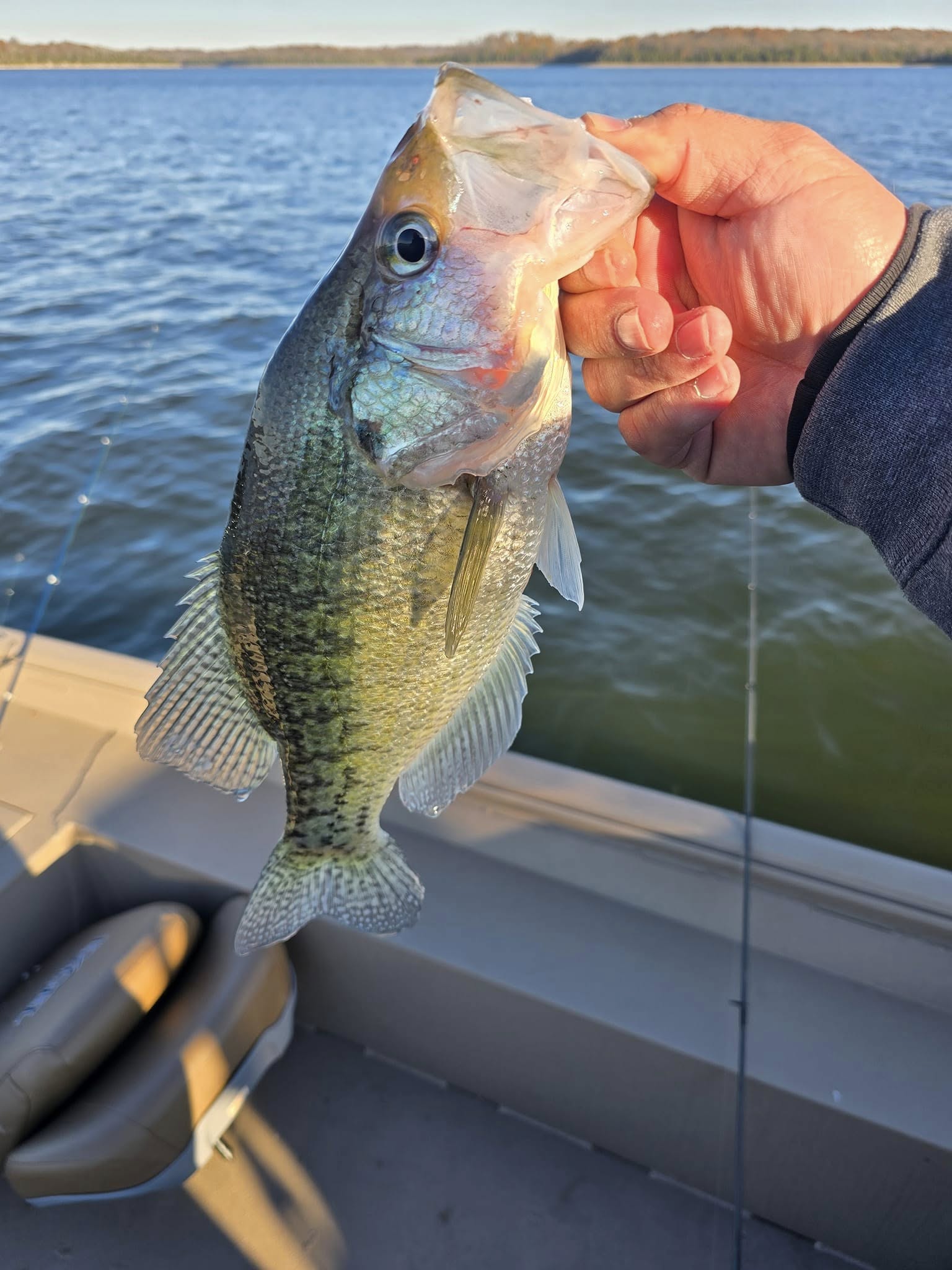 Crappie 4hr trip