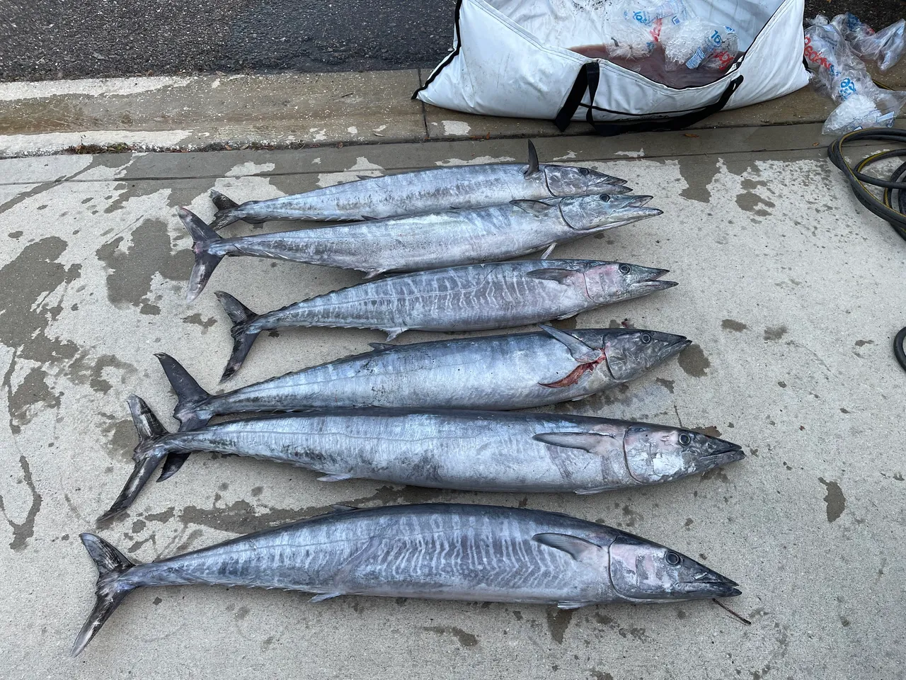 4-5 HR Nearshore Trip